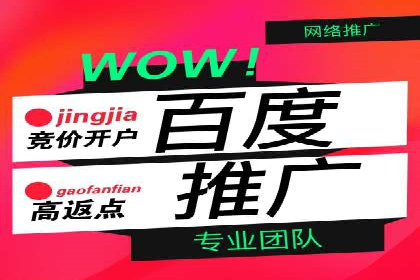 SEM专员案例：数据分析与优化